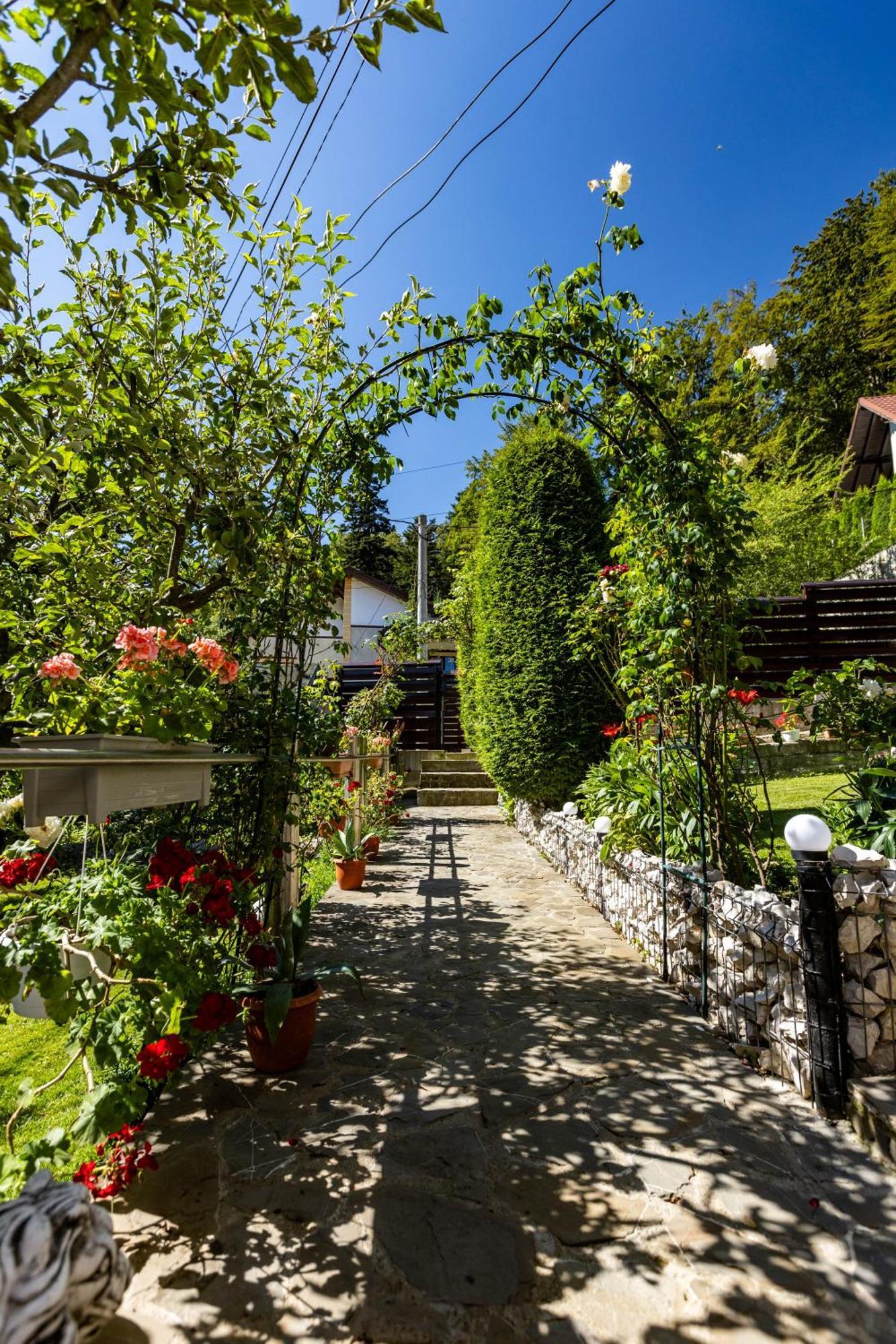Villa Falco Bianco Buşteni Exterior foto