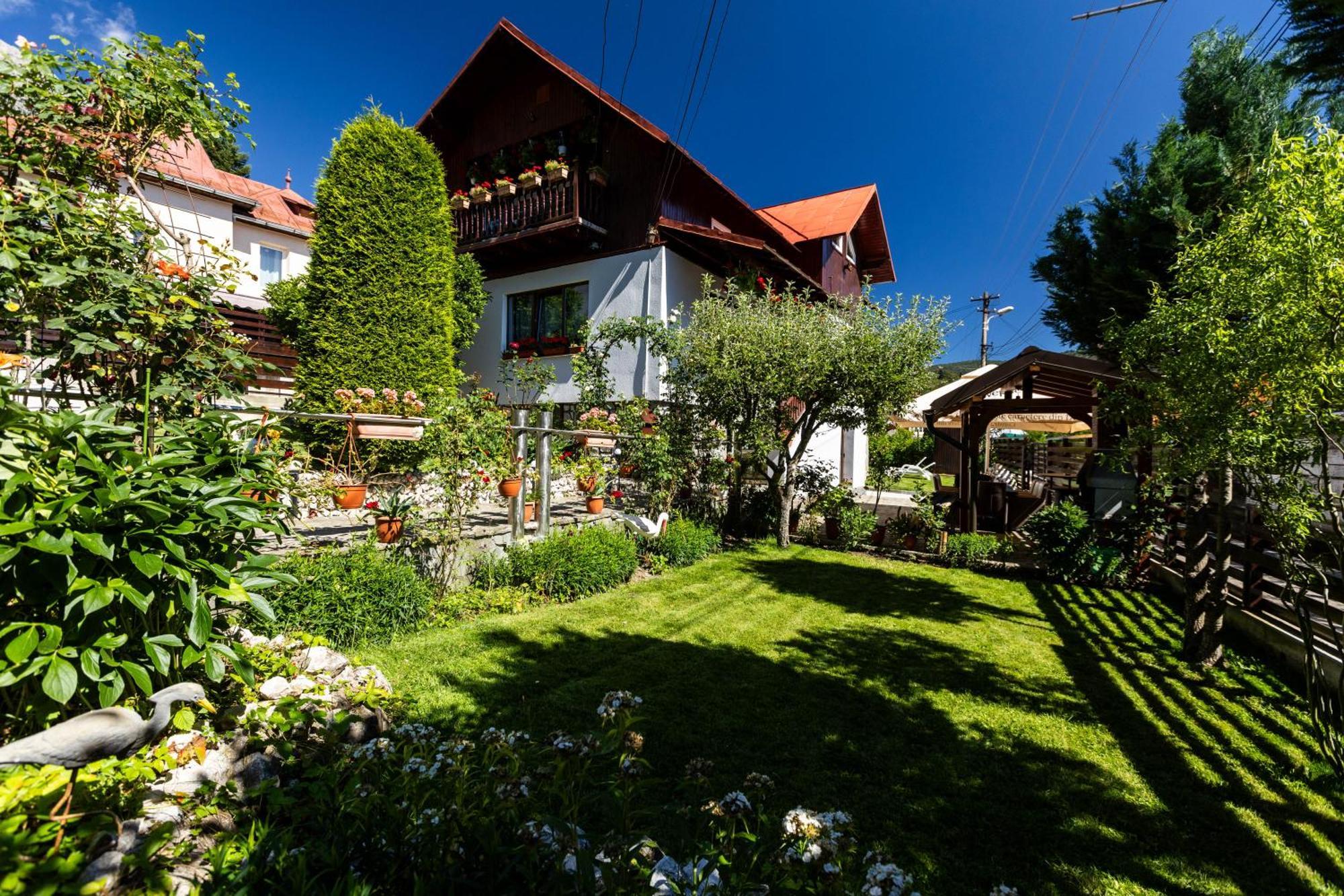Villa Falco Bianco Buşteni Exterior foto